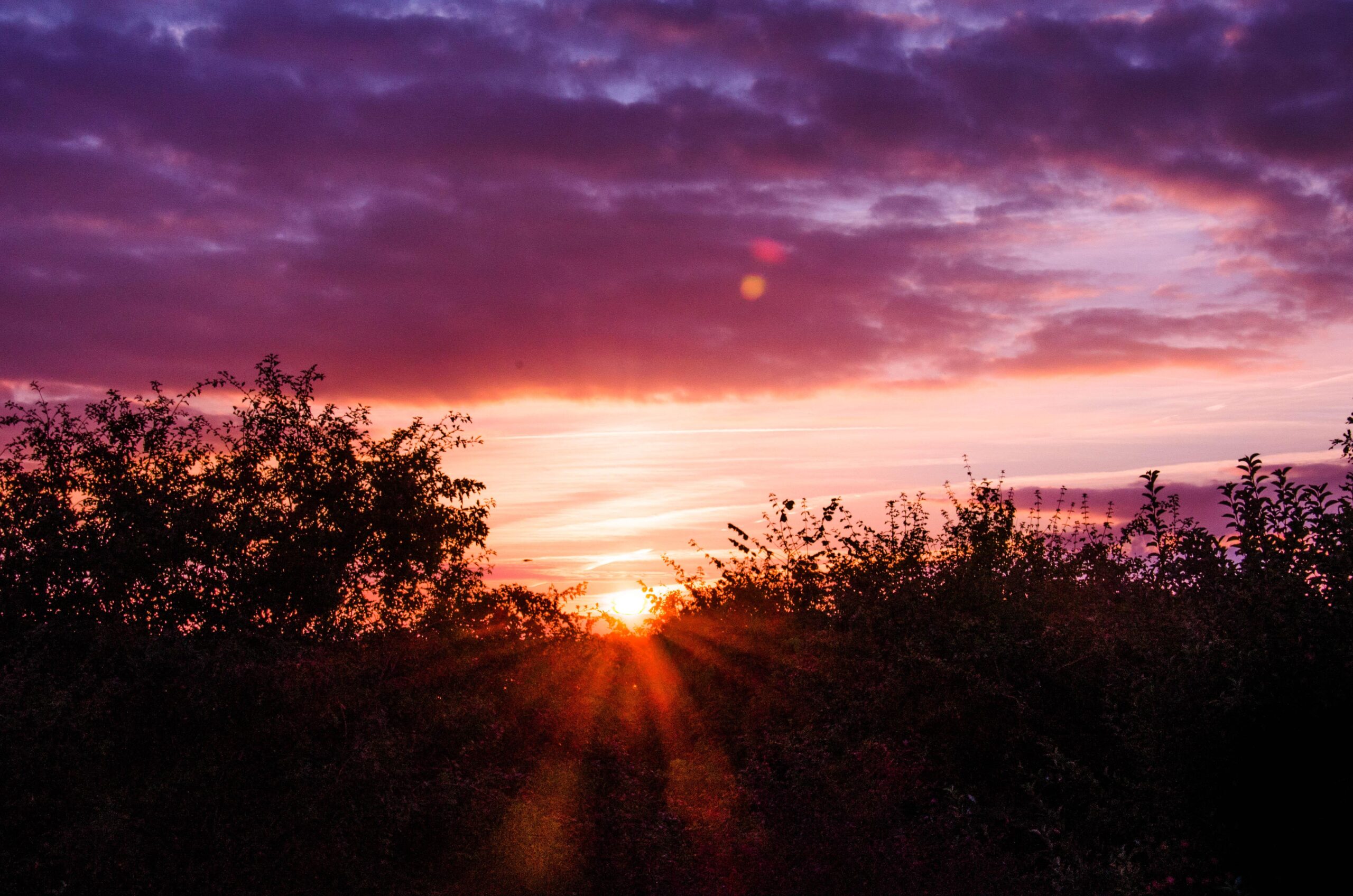 Easter Sunrise Service