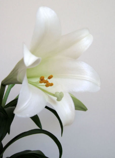 Easter Sunday Worship Service